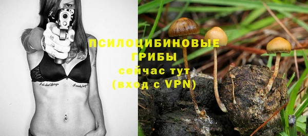 МДПВ Чекалин